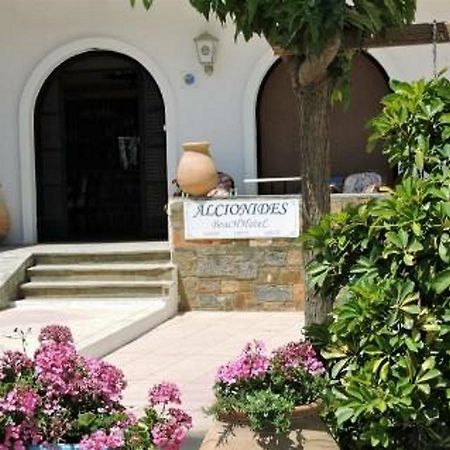 Alkyonides Beach Hotel Малиа Экстерьер фото